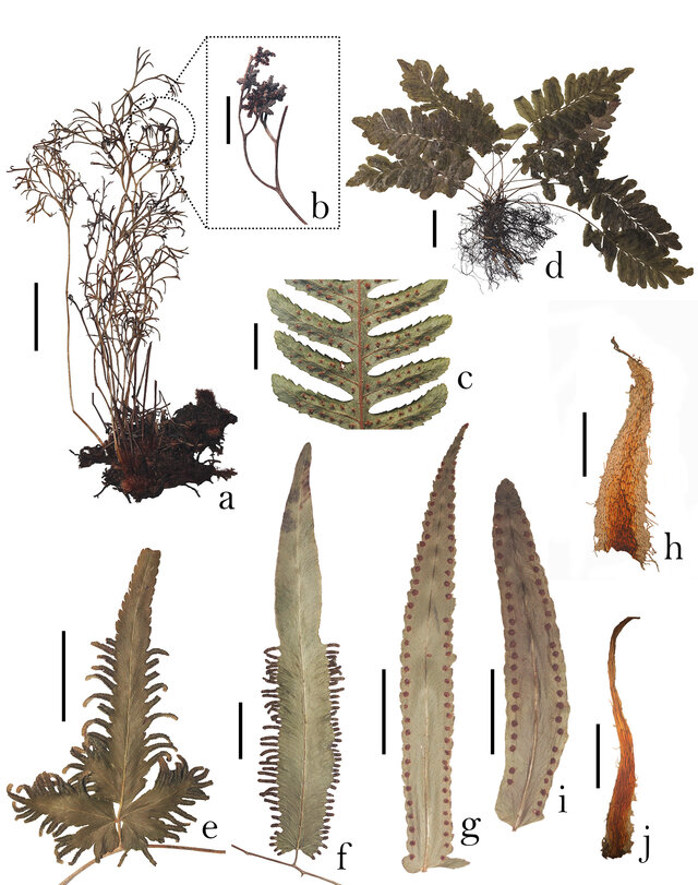 Image from article 2-3